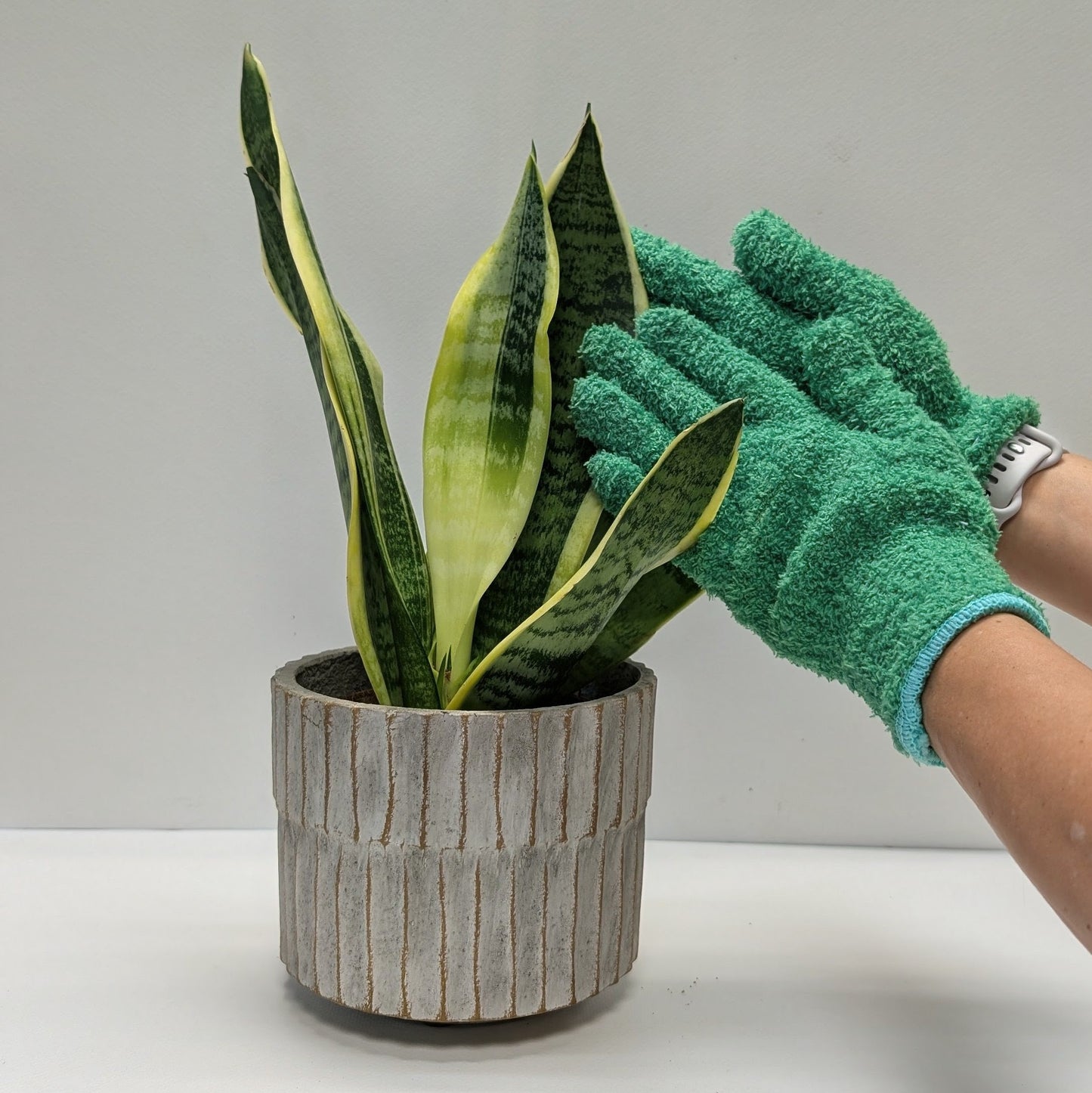 Leaf Love Plant Care Kit