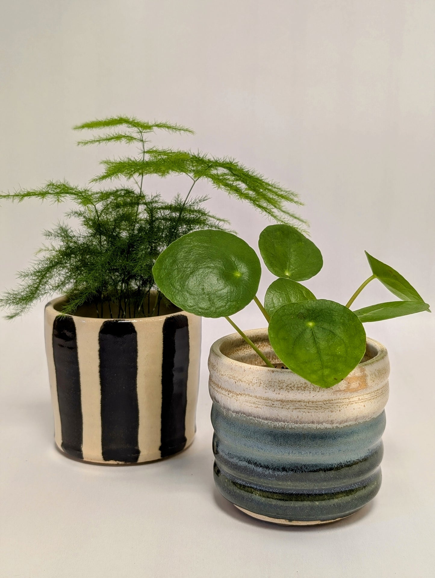 The Mini Conscious Home Subscription