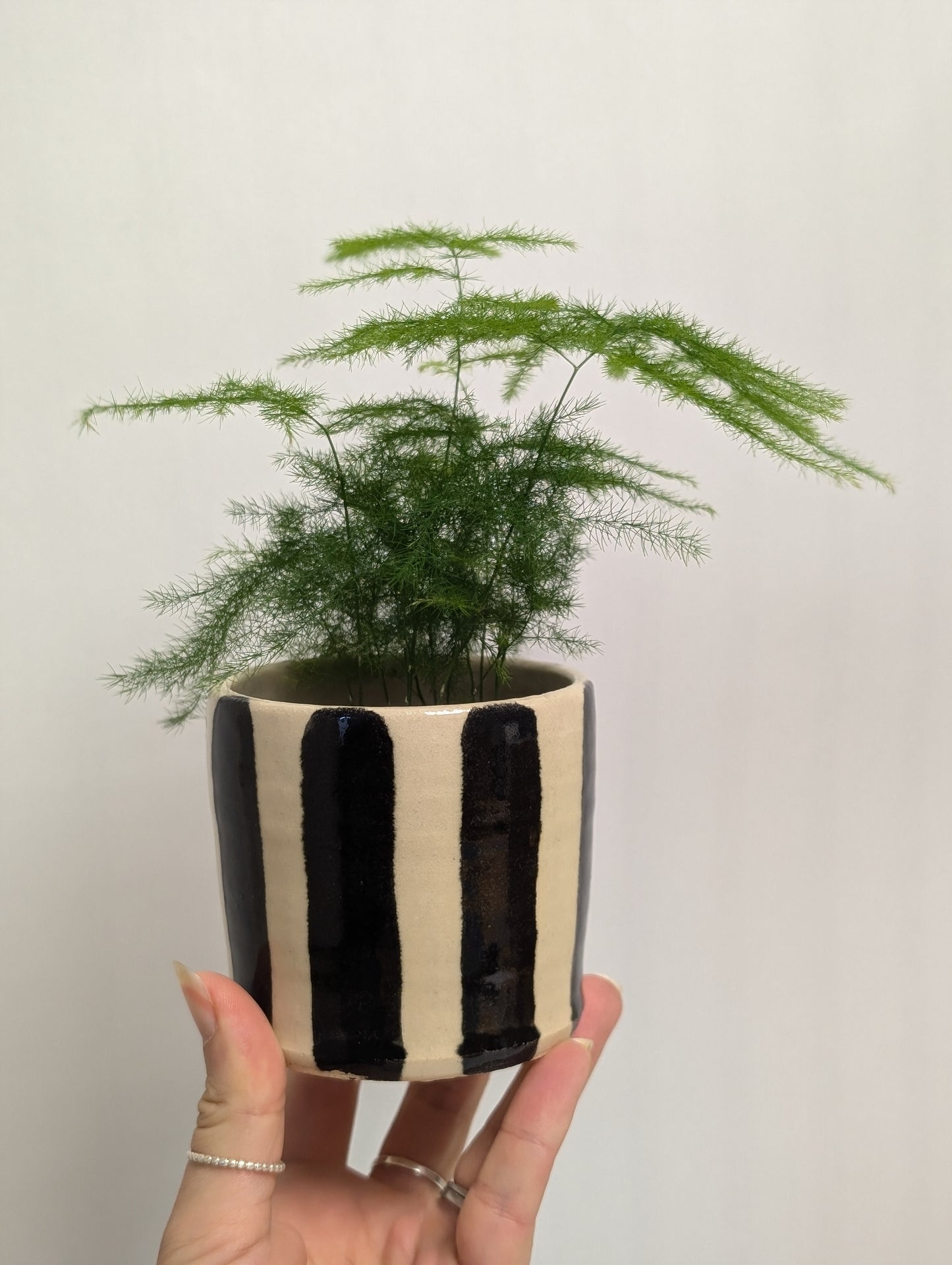 The Mini Conscious Home Subscription