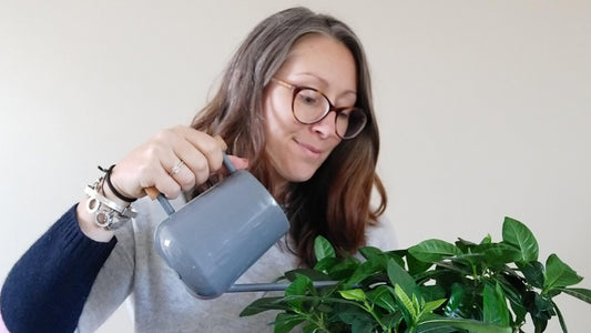 How do I know when to water?