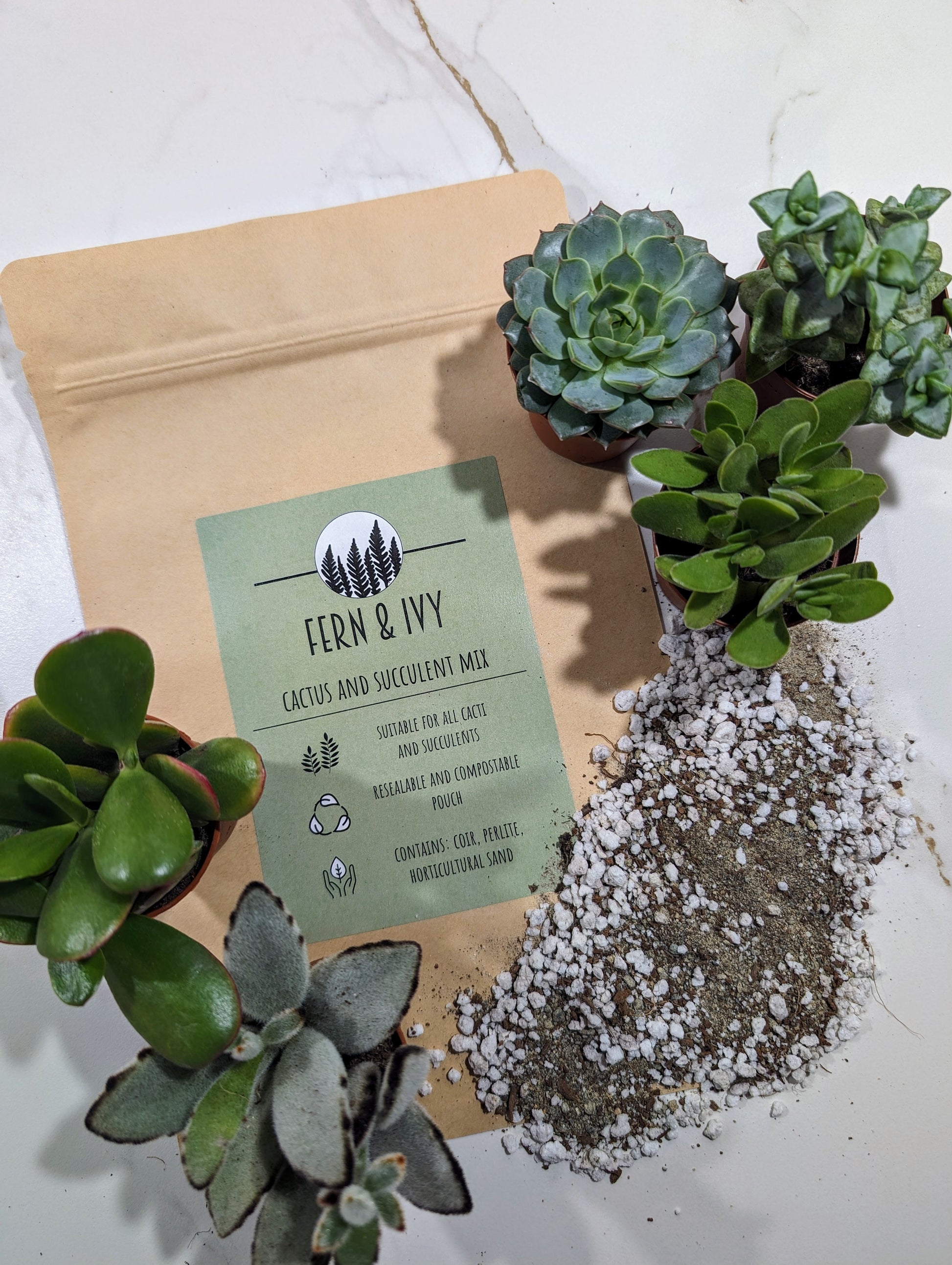 coir succulent mix Cactus and Succulent Soil Mix
