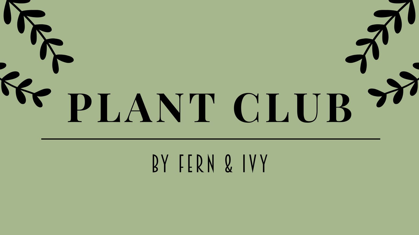 Fern & Ivy Plant Club – Monthly Membership