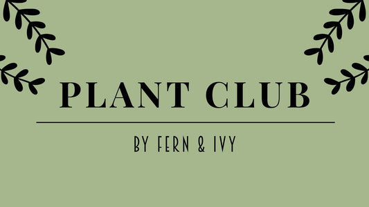 Fern & Ivy Plant Club – Monthly Membership