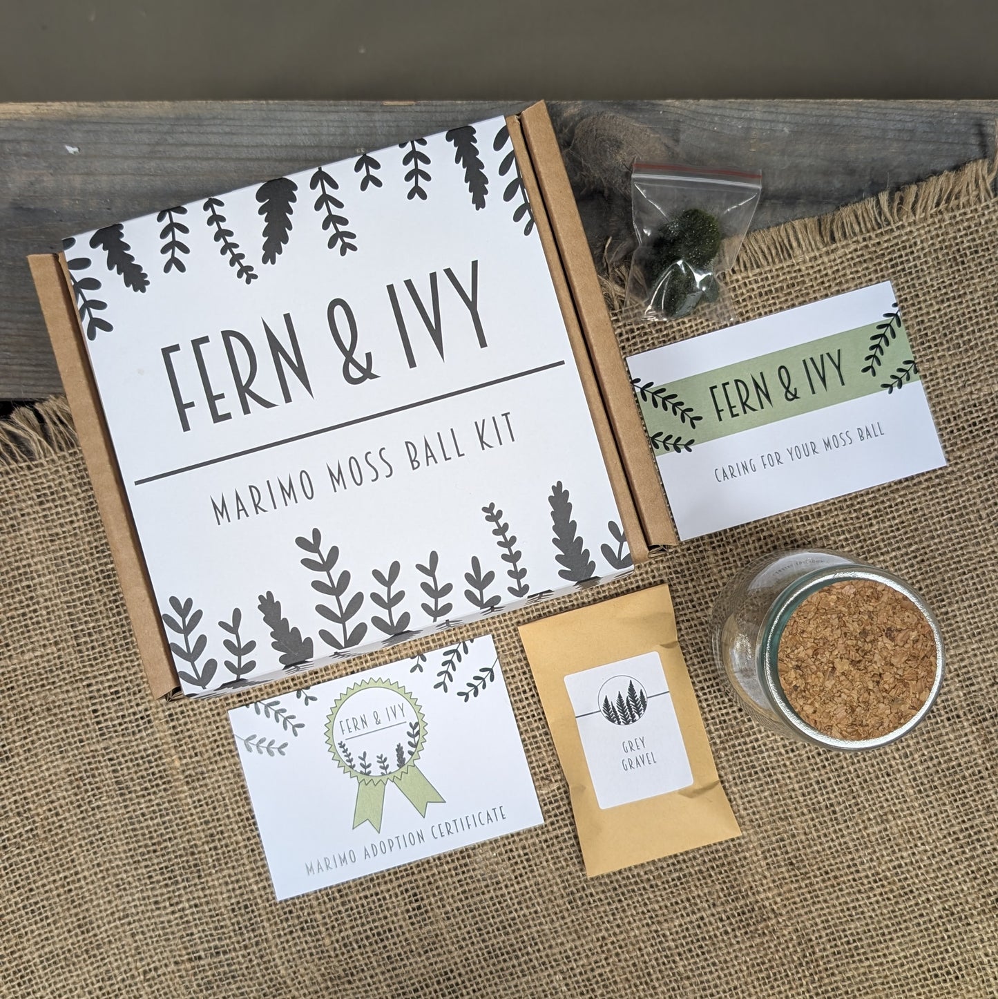 Marimo Moss Ball Kit