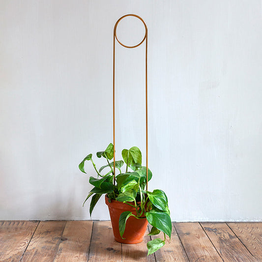Tall Plant Support