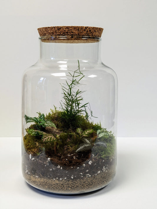 Private Workshop - HH - 27th September