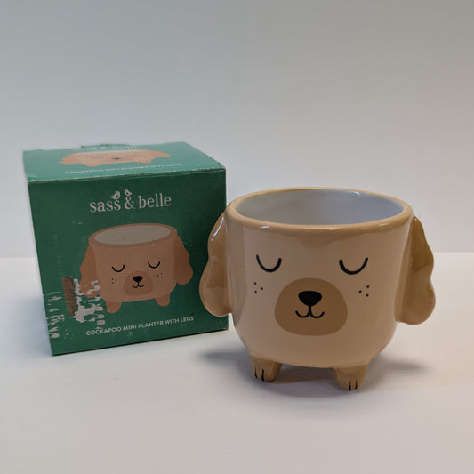 Cockapoo Pot - 6cm