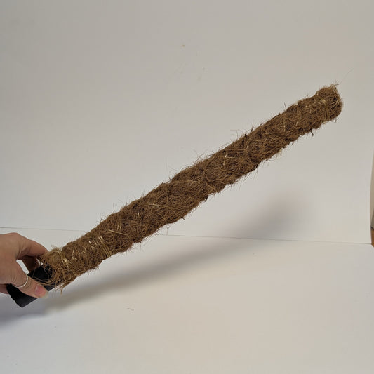 Moss Pole - 50cm