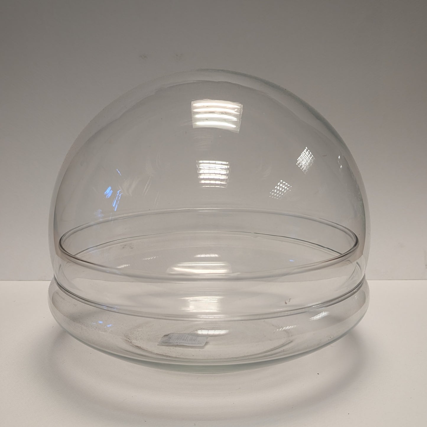 Glass Dome Terrarium